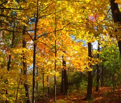 36 25-Oct-13 13-04-19 P7100 038